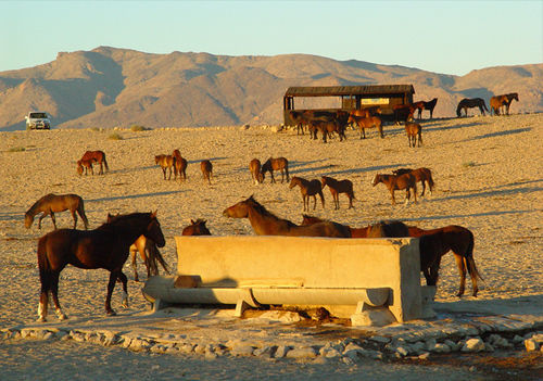 Klein-Aus Vista Desert Horse Inn Kültér fotó